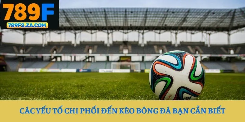 Các yếu tố chi phối đến kèo bóng đá bạn cần biết