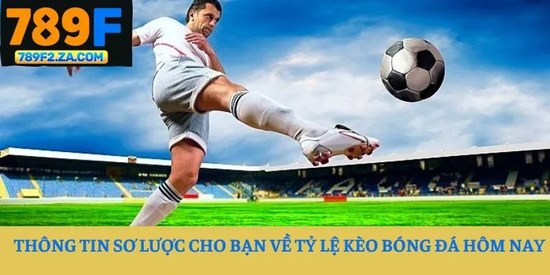 Thông tin sơ lược cho bạn về tỷ lệ kèo bóng đá hôm nay