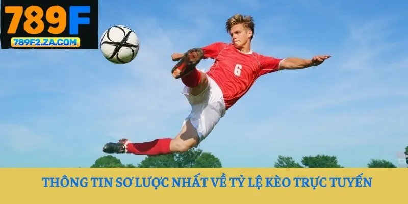 Thông tin sơ lược nhất về tỷ lệ kèo trực tuyến